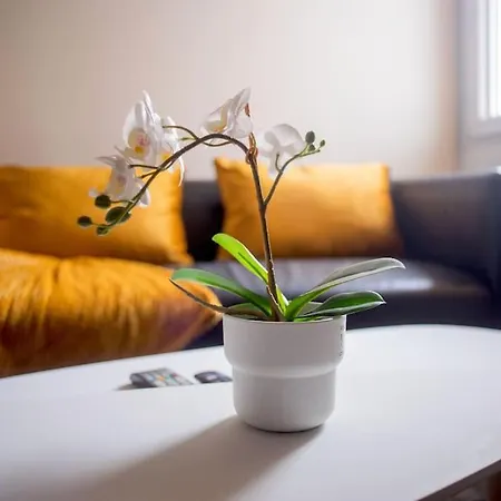 Appartement T2 Cosy & Moderne Avec Parking Prive Gratuit A